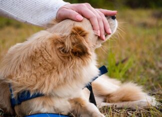 Co zrobić gdy wbije się gwóźdź w stopę?