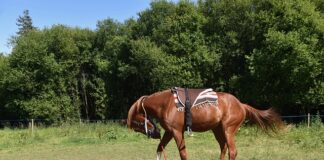 Jak montować łaty i kontrłaty?