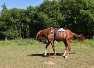 Jak montować łaty i kontrłaty? Jak montować łaty i kontrłaty?