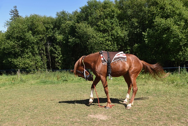 Jak montować łaty i kontrłaty? Jak montować łaty i kontrłaty?