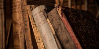 Co zrobić ze starą matka pszczela?