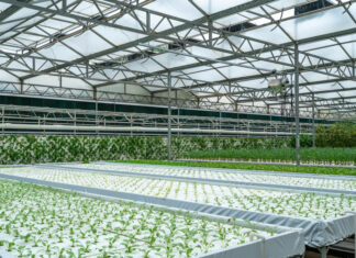 Hala rolnicza jako magazyn