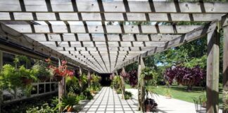 pergola tarasowa